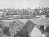 Chestnut Grove 1915