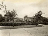 Lilac Grove 1950's